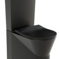 Унитаз Sanindusa URB.Y 60 Rimfree с крышкой SoftClose EasyClipp, матовый черный. 140952264