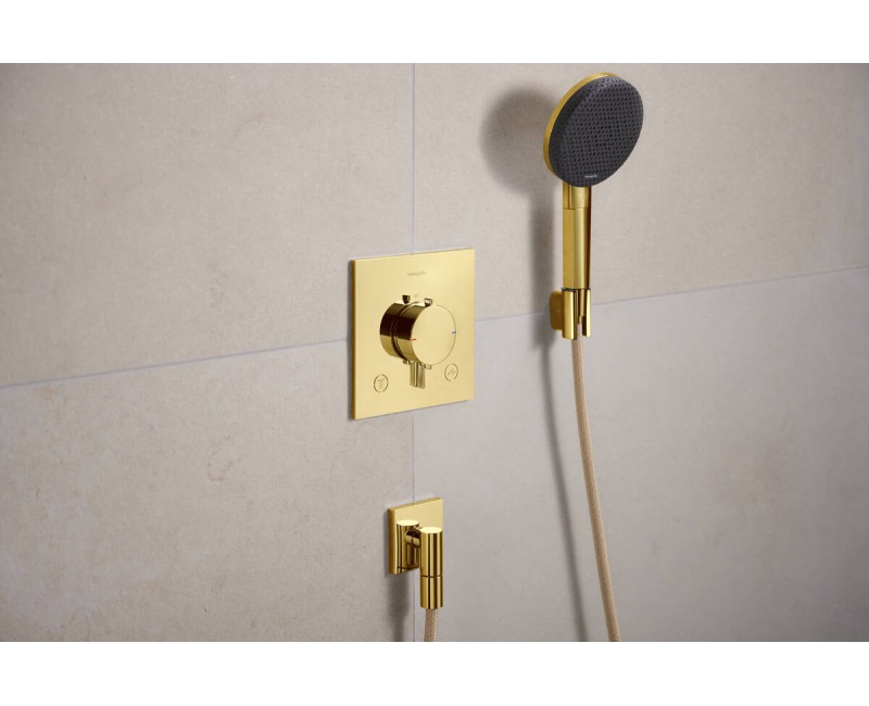 Dušas izvads Hansgrohe FixFit Fine E, pulēta zelta imitācija 28883990