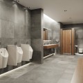 Tarpiena pisuārams Hansgrohe EluPura Q Original balta 60173450