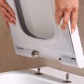 Подвесной унитаз Hansgrohe EluPura Original Q с крышкой SoftClose QuickRelease, Rimfree AquaChannel, SmartClean, белый 61182450