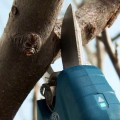 Dārza šķēres Bosch 12 V akumulatora, bez akumulatora un lādētāja 06019K1020