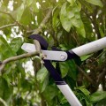 Dārza šķēres FISKARS, S izmērs 1020186