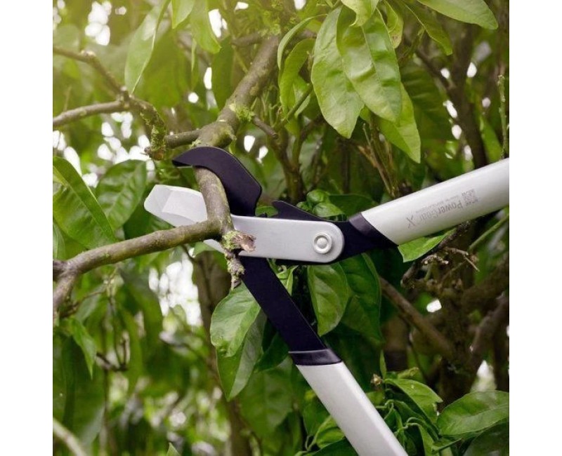 Dārza šķēres FISKARS, S izmērs 1020186
