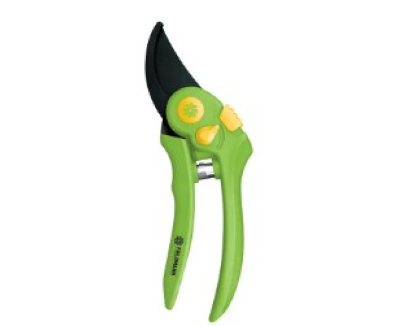Dārza šķēres Fieldmann FZNR 1007, 50004384