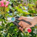 Dārza šķēres Gardena EcoLine 12210-20