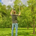 Dārza šķēres Gardena TeleCut Basic, teleskopiskas 12020-20
