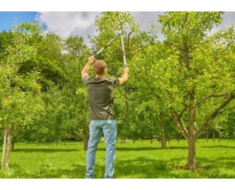 Dārza šķēres Gardena TeleCut Basic, teleskopiskas 12020-20