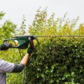 Dzīvžoga šķēres Bosch  AdvancedHedgeCut 65 cm, 500 W 06008C0801