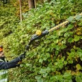 Dzīvžoga šķēres DeWALT 18 V akumulatora ar garu rokturi, 1 x 5,0 Ah XR akumulators, DCMPH566P1 lādētājs