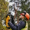 Dzīvžoga šķēres DeWALT 18 V akumulatora, bez akumulatora un lādētāja DCMHT563N