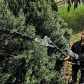Dzīvžoga šķēres DeWALT Motora bloka papildaprīkojums, dzīvžogu šķēres 55 cm DCMASPH6N