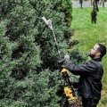 Dzīvžoga šķēres DeWALT Motora bloka papildaprīkojums, dzīvžogu šķēres 55 cm DCMASPH6N
