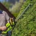 Dzīvžoga šķēres Fieldmann FZN 70205-0 20V  50004556