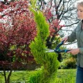 Кусторез Gardena PrecisionCut 40 см 12302-20