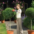 Кусторез BLACK+DECKER 3,6 В, Акумуляторний, встроенный аккумулятор, зарядное устройство GSL300-QW