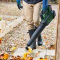 Воздуходувка Bosch 36 В, Аккумуляторная, 1 аккумулятор 2,0 Ач, зарядное устройство 06008C6000