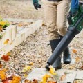 Воздуходувка Bosch 36 В, Аккумуляторная, без аккумулятора и зарядного устройства 06008C6001