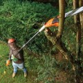 Motorzāģis BLACK+DECKER apgriešanas 800 W PS7525-QS