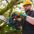Motorzāģis Bosch 18 V akumulatora 20 cm, bez akumulatora un lādētāja 06008B8001