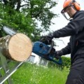 Motorzāģis Bosch 18 V akumulatora 40 cm, bez akumulatora un lādētāja 06008D3000