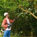 BOSCH 18 V akumuliatorinis sodo pjūklas 20 cm, 1 x 2,5 Ah akumuliatorius, įkroviklis 06008B3100