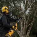 Motorzāģis DeWALT 54 V akumulatora 25 cm, bez akumulatora un lādētāja DCMPS635N