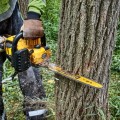 Motorzāģis DeWALT 54 V akumulatora 45 cm, bez akumulatora un lādētāja DCMCS574N