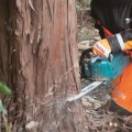 Motorzāģis Makita 40 V akumulatora 35 cm, bez akumulatora un lādētāja UC015GZ