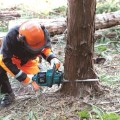 Benzininis pjūklas Makita 40 V akumuliatorinis 35 cm, be akumuliatoriaus ir kroviklio UC025GZ