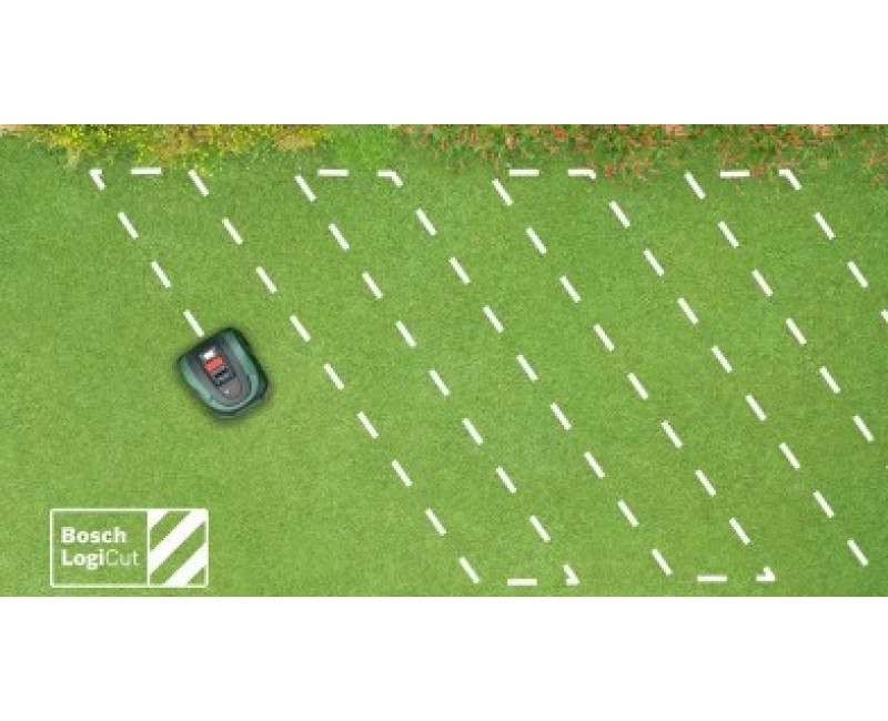 Vejos robotas Bosch 18 V akumuliatorius, įkrovimo stotis 06008B0303
