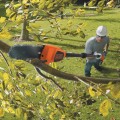Motorzāģis BLACK+DECKER 18 V akumulatora, 1 x 2,0 Ah akumulators, lādētājs GPC1820L20-QW