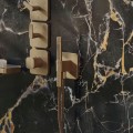 Dušas Komplekts Axor Citterio C , šļūtene, 2 plūsmas, pulēta bronza 49626140