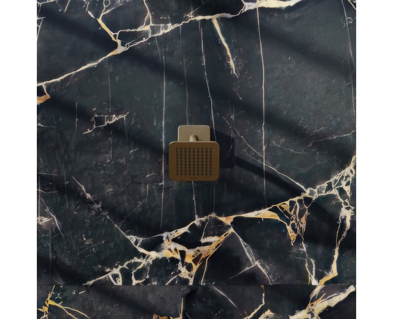 Dušas galva Axor Citterio C 12x12 cm, EcoSmart, pulēta bronza 28810140