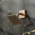 Dušas galva Axor Citterio C 12x12 cm, EcoSmart, pulēta bronza 28810140