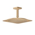Dušas galva Axor Citterio C 27x27 cm, EcoSmart, pulēta bronza 28793140