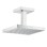 Dušas galva Axor ShowerCollection, 24x24 cm, hroms 10929000