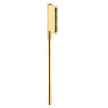 Dušas klausule Axor One, 2 plūsmas veidi, pulēts misiņš 45720950