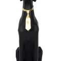 Galds, Dizaina “Dog” ar stikla virsmu HD1303