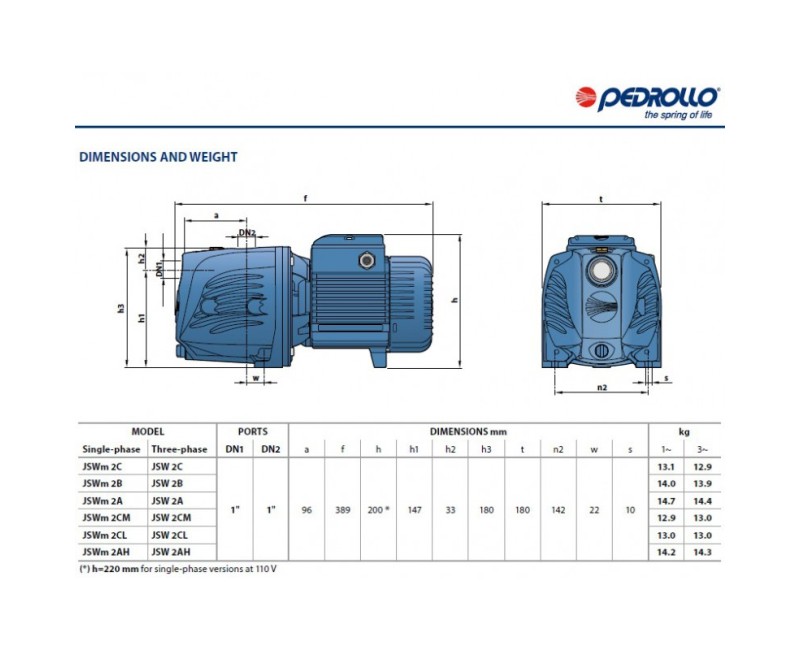 Водяной насос с Гидрофором Pedrollo JSWM2CX-24CL (0,75 кВт ~230 В)
