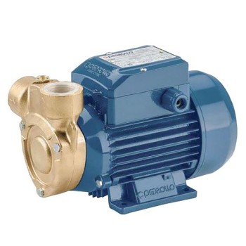 Ūdens apgādes sūknis Pedrollo PQm 60-Bs 0,37kW 230V 50Hz
