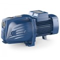 Ūdens apgādes sūknis Pedrollo  JSWM1AX  (0.6kW ~ 230V)