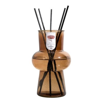 Aromātu difuzors Vāze,  250 ml Iris BO0209 Iris