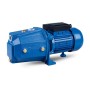 Насос для подачи воды Ceva CJET100B(0.75кВт ~230В) 1HP