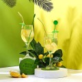Dāvanu komplekts “Gin Tonic lovers” – glāzes un aksesuāri gin tonic baudīšanai KV7410