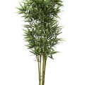 Dekors Mākslīgais bambussa koks podā – 150 cm HD4182