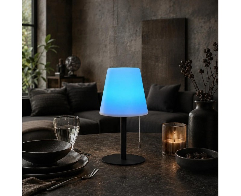 Galda lampa Uzlādējama LED iekštelpām/ārtelpām H30 cm
