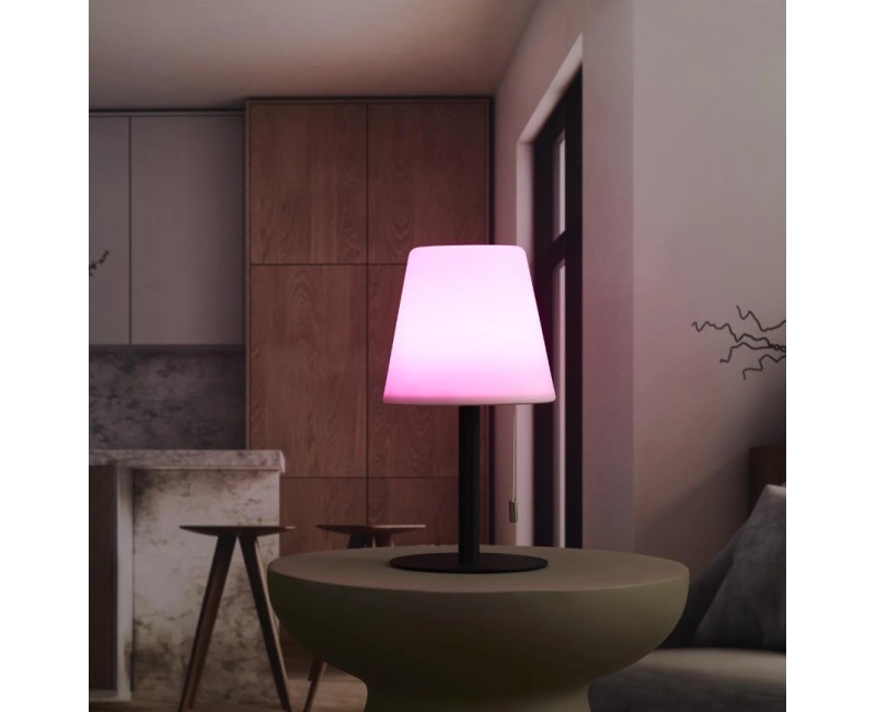 Galda lampa Uzlādējama LED iekštelpām/ārtelpām H30 cm