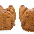 Istabas čības Capybara 3D pūkainas 38/39