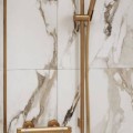 Dušas klausule Hansgrohe Raindance Select S 120 HS 26530140 Brushed Bronze