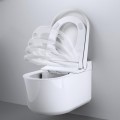 Унитаз Grohe Rapid SLX каркасный с унитазом Sensia + функция биде с крышкой Soft Close 36509SH0